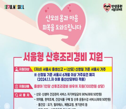 ‘서울형 산후조리경비’ 서울 거주 산모 누구나 받는다…출산맘 몸‧마음 챙겨